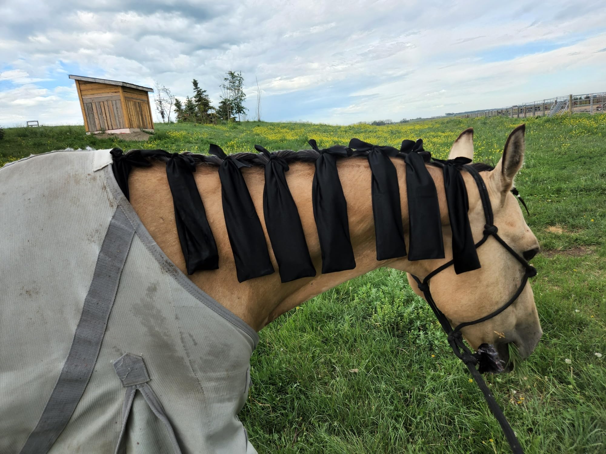 Ranch Hand Store mane bags measure 3 inches by 13 inches