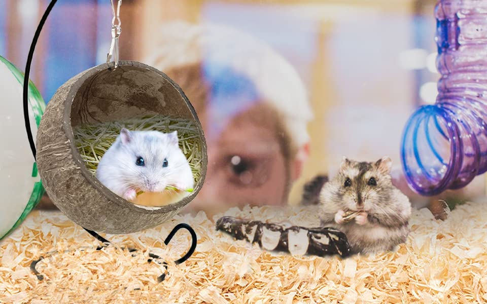 Ranslen hamster bed with hanging loop demonstrates safe, reusable coconut materials.