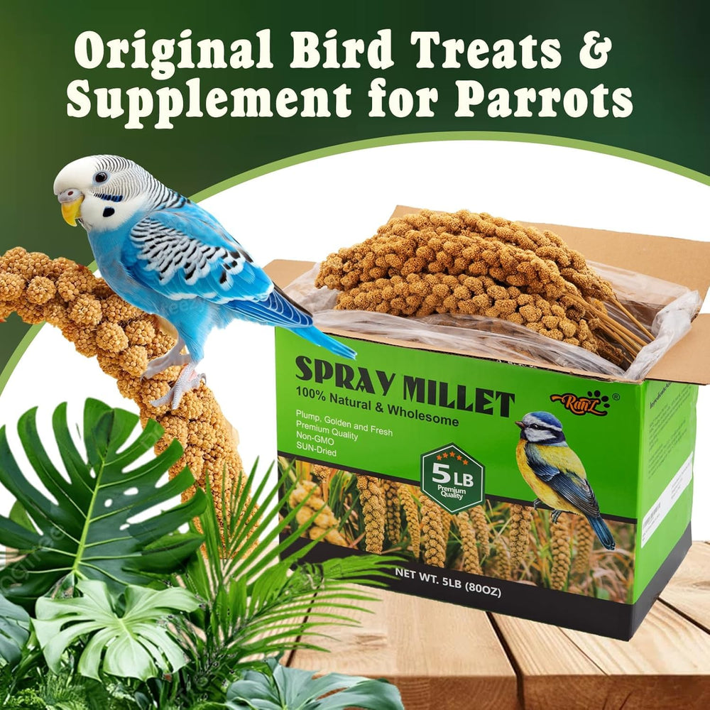 RANZ millet spray foraging shot shows birds exercising with tasty treat.