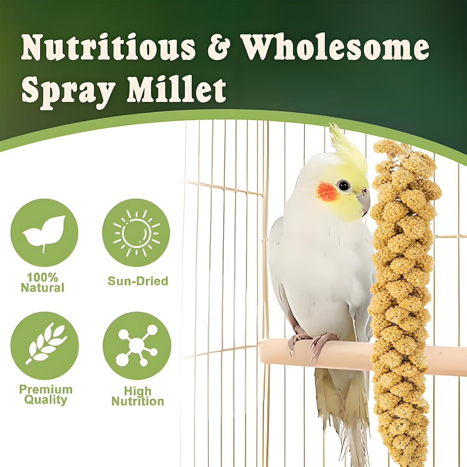 RANZ natural sun-dried millet spray shows wholesome carbohydrate snack for birds.
