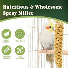 RANZ natural sun-dried millet spray shows wholesome carbohydrate snack for birds.