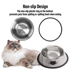 Rapsrk dishwasher-safe cat bowls simplify post-meal cleanup