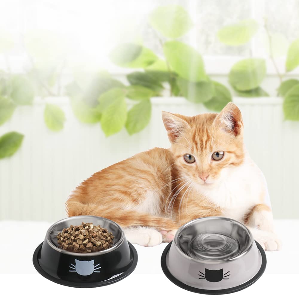 Rapsrk wide shallow design reduces whisker fatigue during meals