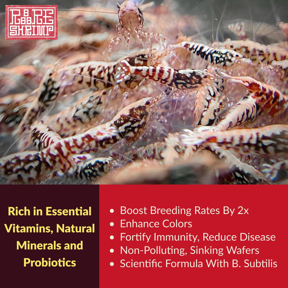 Rare Shrimp Professional Food suitable for caridina and neocaridina species.