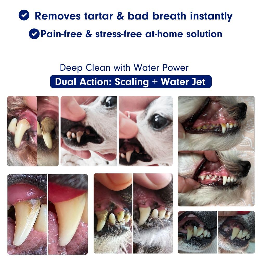 RarePet Canivet soft silicone tips ready for gentle cleaning across dogs