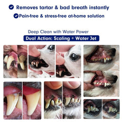 RarePet Canivet soft silicone tips ready for gentle cleaning across dogs