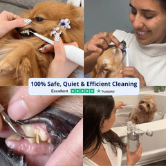 RarePet Canivet water flossing tip highlights debris removal near gums