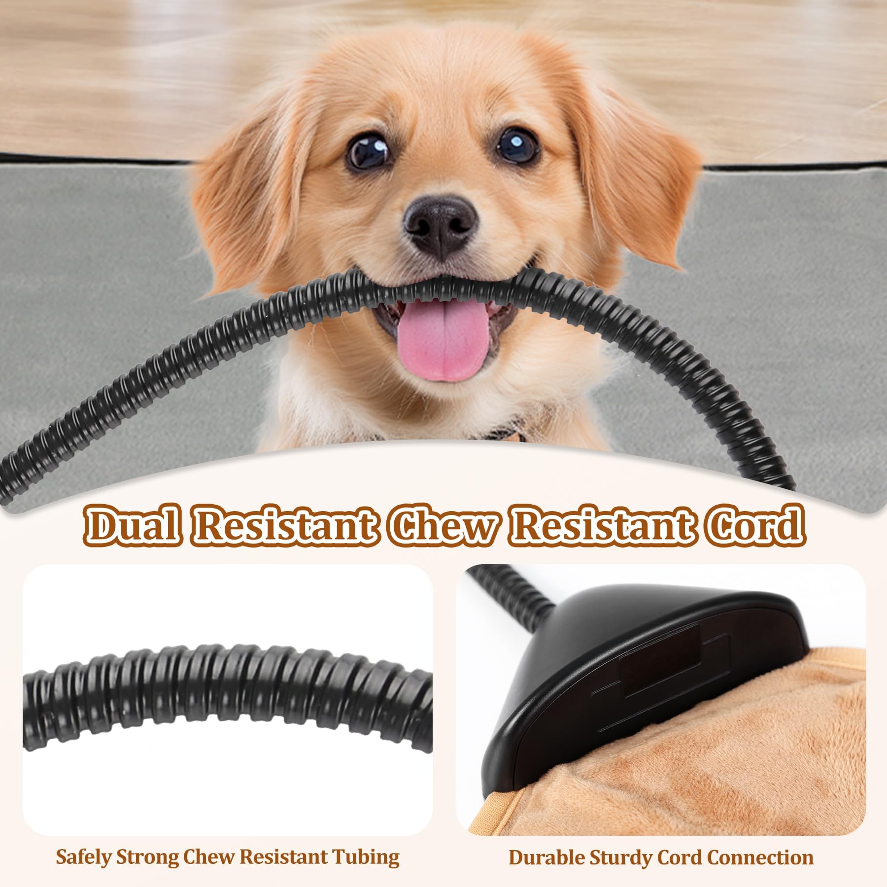 Rasfalo indoor warm bed setup for cats and dogs in a cozy corner