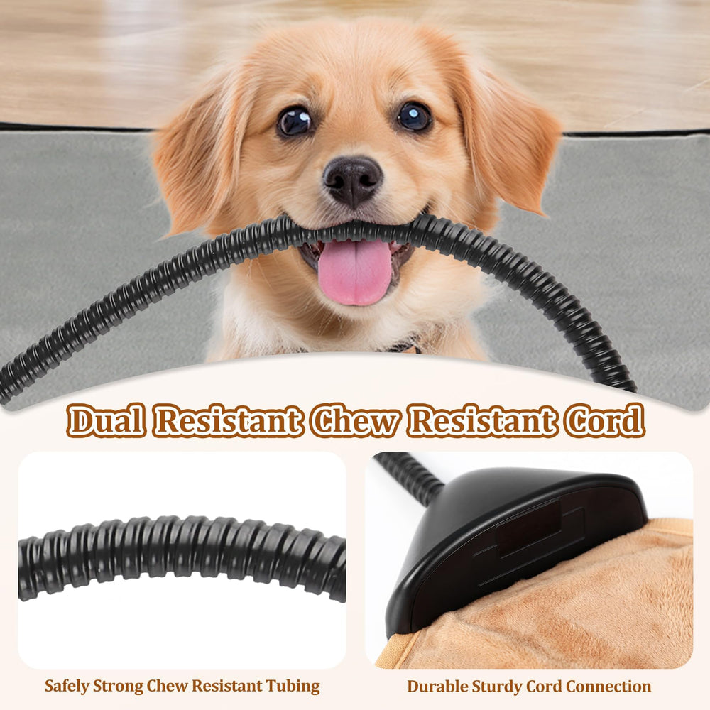 Rasfalo indoor warm bed setup for cats and dogs in a cozy corner