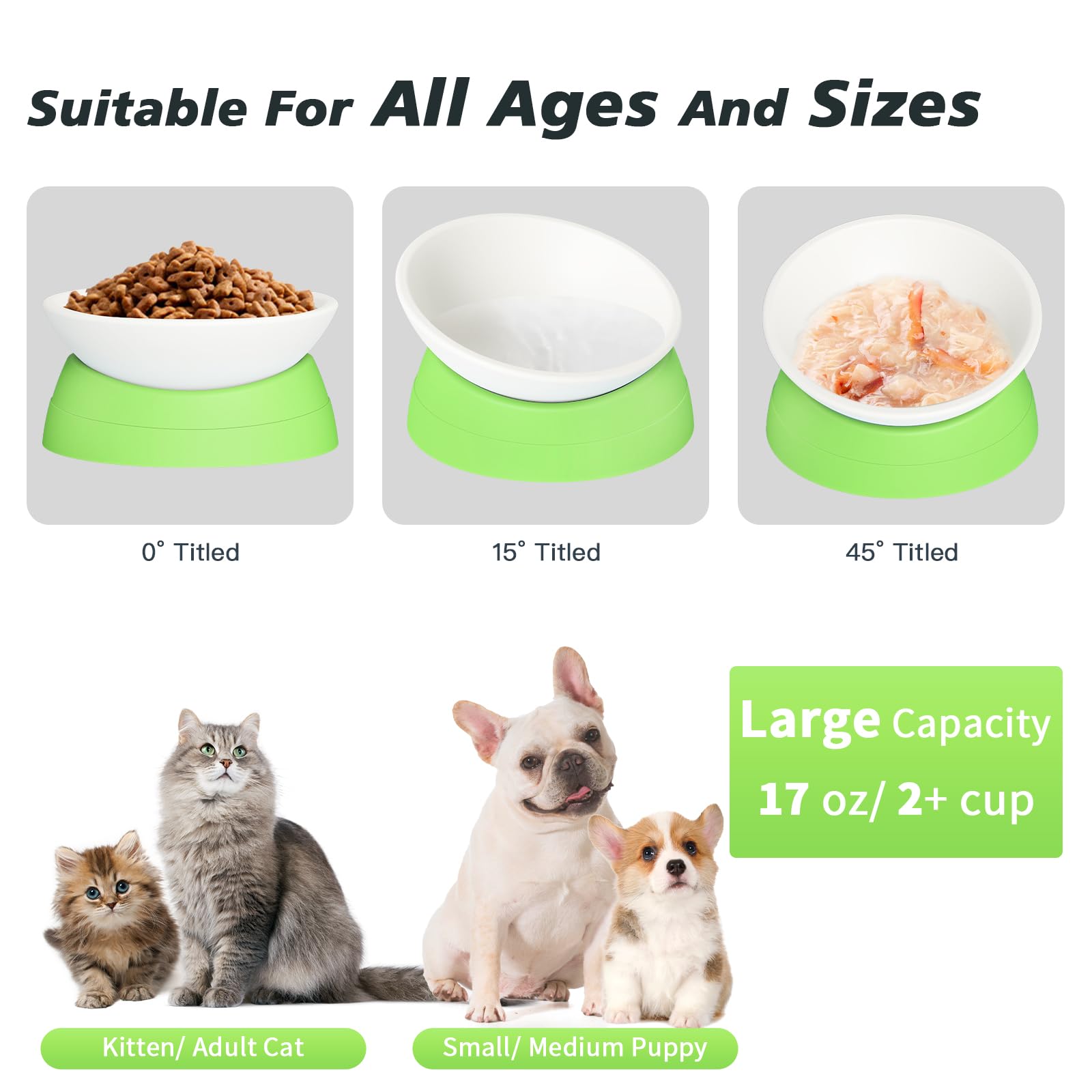 Ravitat elevated cat bowl demonstrates anti-noise design during dining.