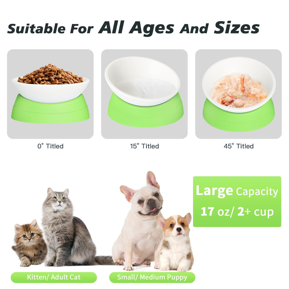 Ravitat elevated cat bowl demonstrates anti-noise design during dining.