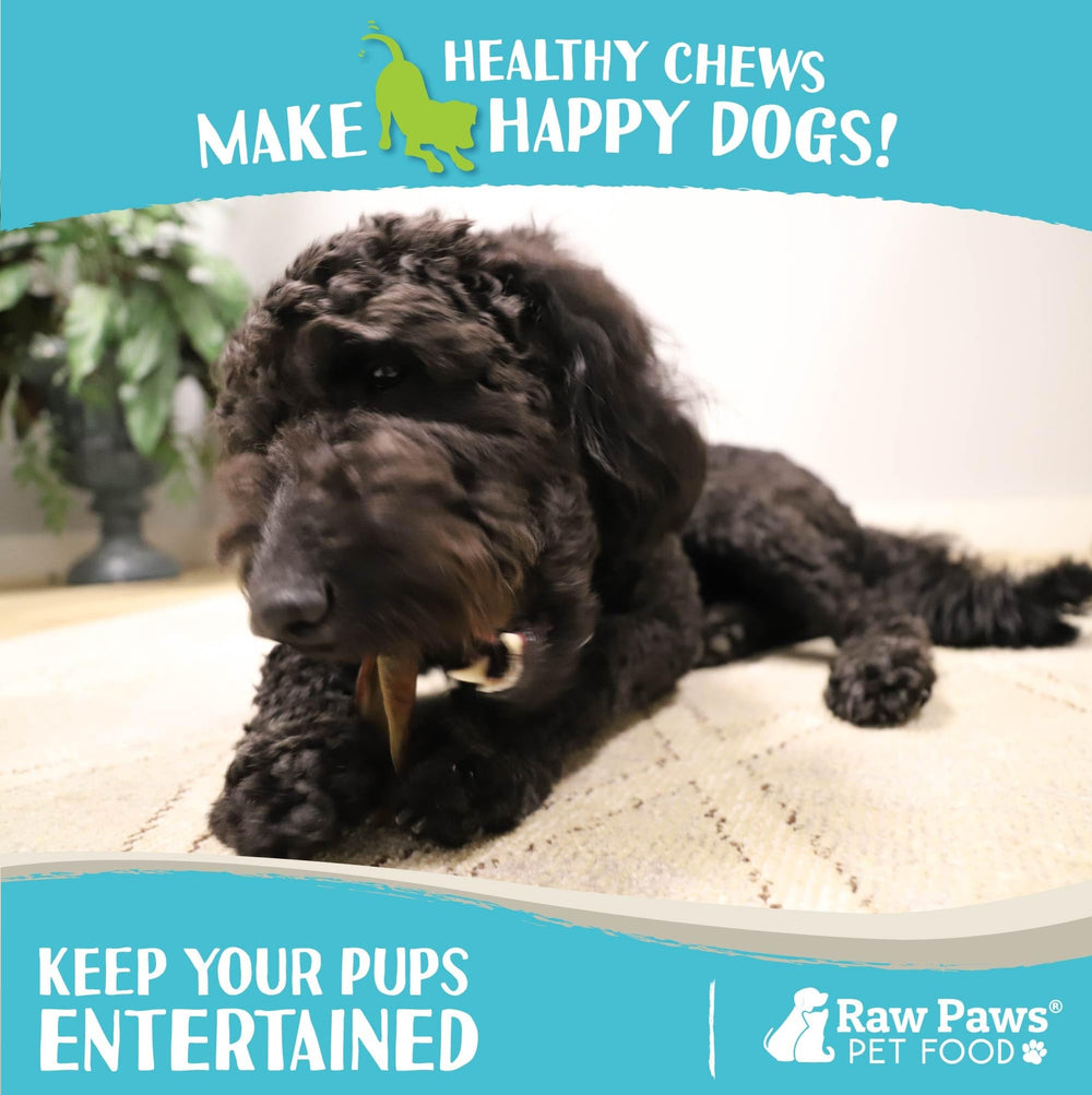 Raw Paws Camel Skin Chews anxiety relief scene shows calming chew option for nervous dogs.