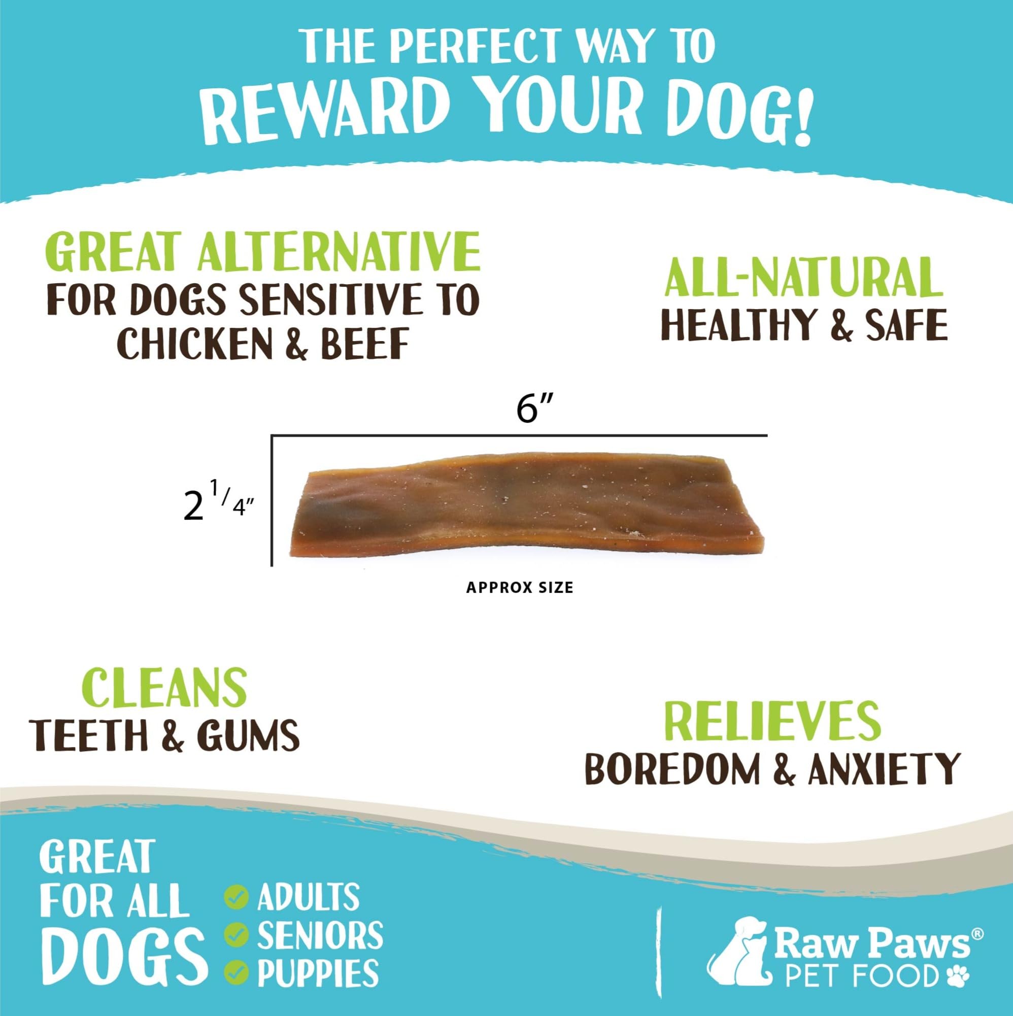 Raw Paws Camel Skin Chews dog chewing demonstrates long-lasting activity during chew time.