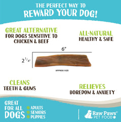 Raw Paws Camel Skin Chews dog chewing demonstrates long-lasting activity during chew time.