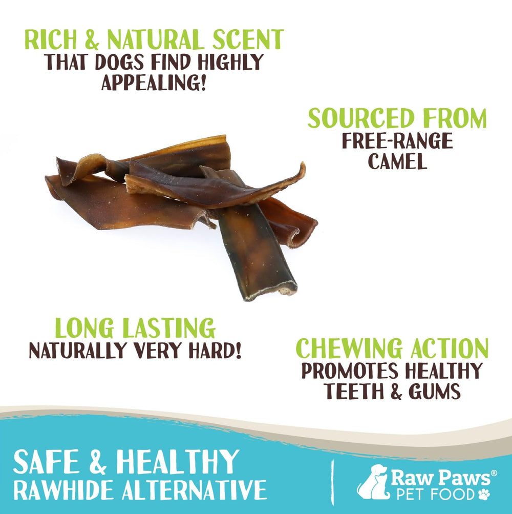 Raw Paws Camel Skin Chews texture closeup highlights natural hide surface for satisfying gnawing.