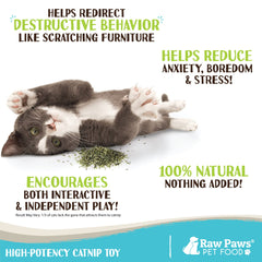 Raw Paws catnip aroma close-up highlighting inviting scent for cats