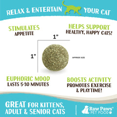 Raw Paws catnip ball in motion captures playful cats during interactive sessions.