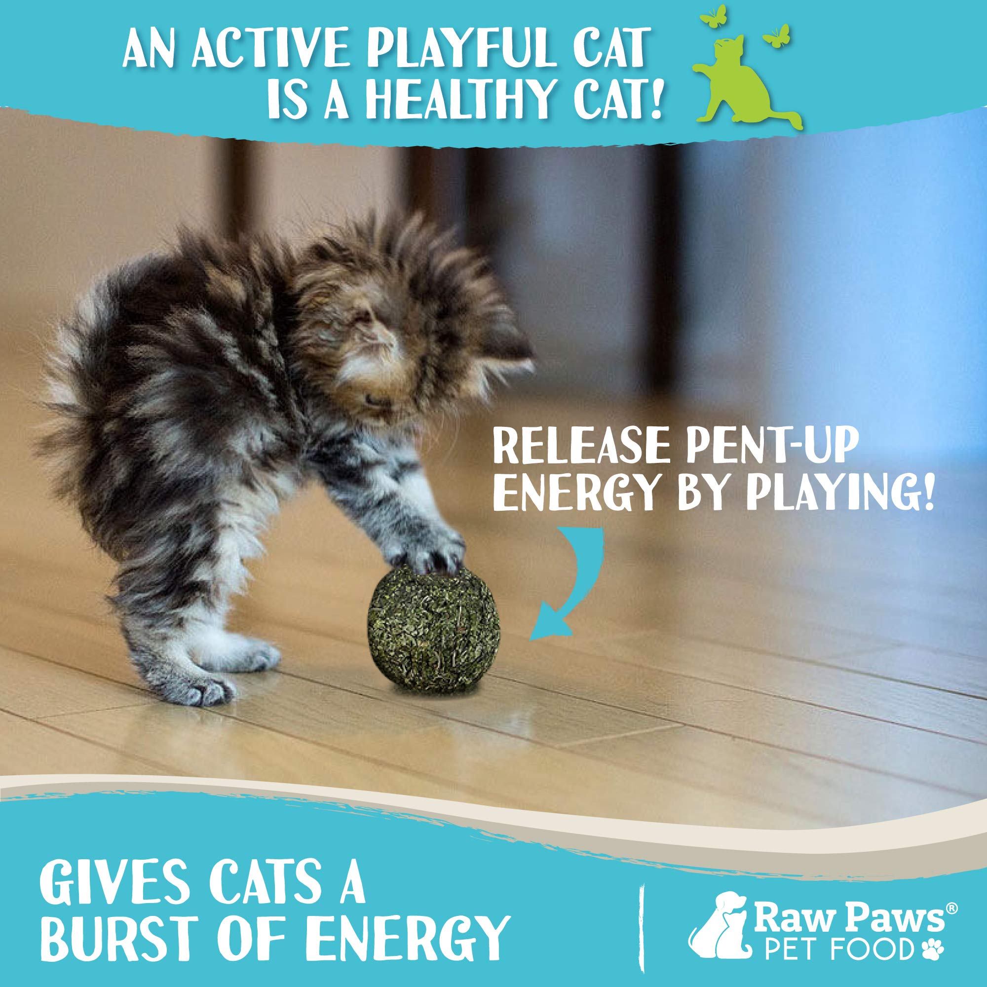Raw Paws catnip ball texture closeup emphasizes crisp surface for vigorous batting.