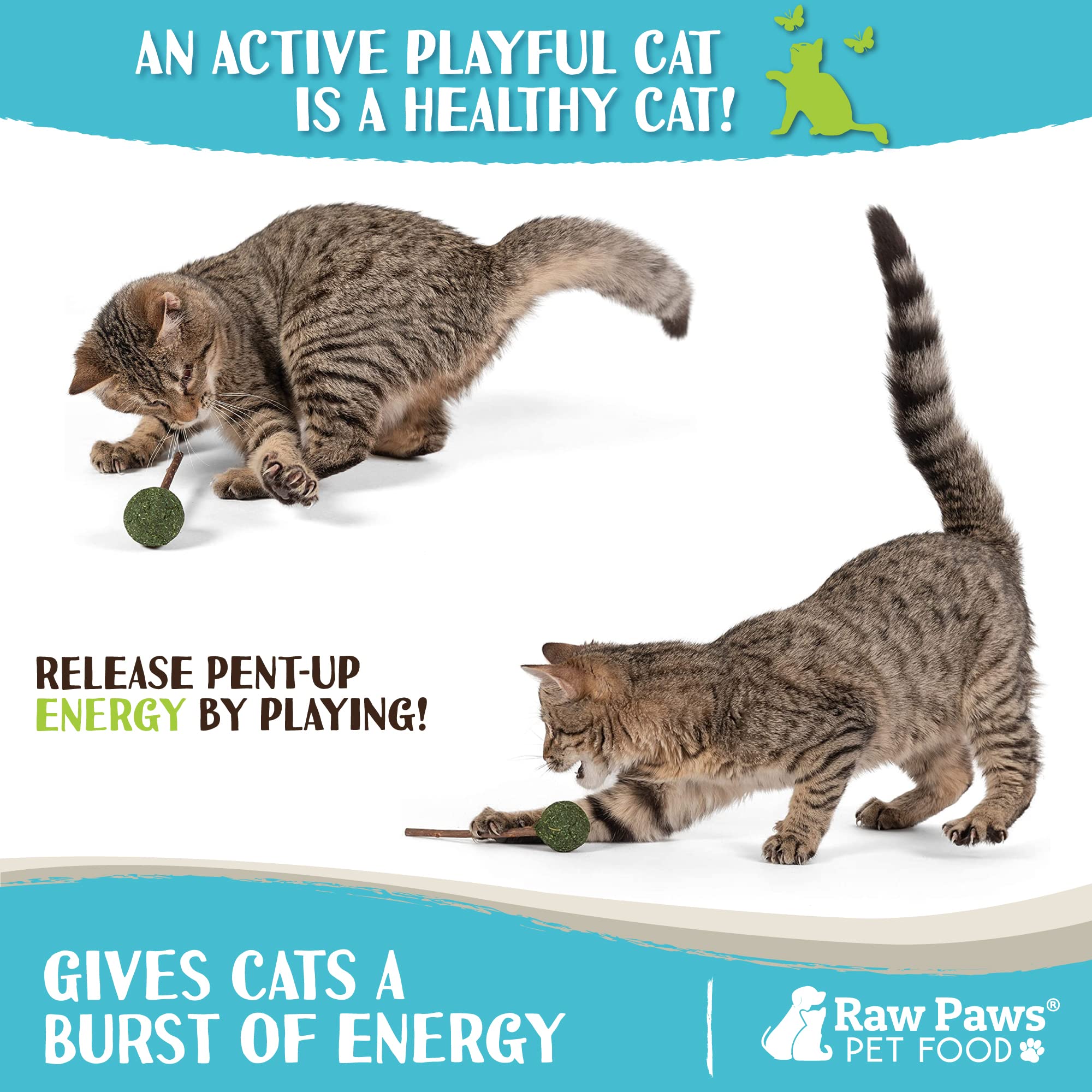 Raw Paws catnip lollipops closeup indicating digestion-friendly chew.