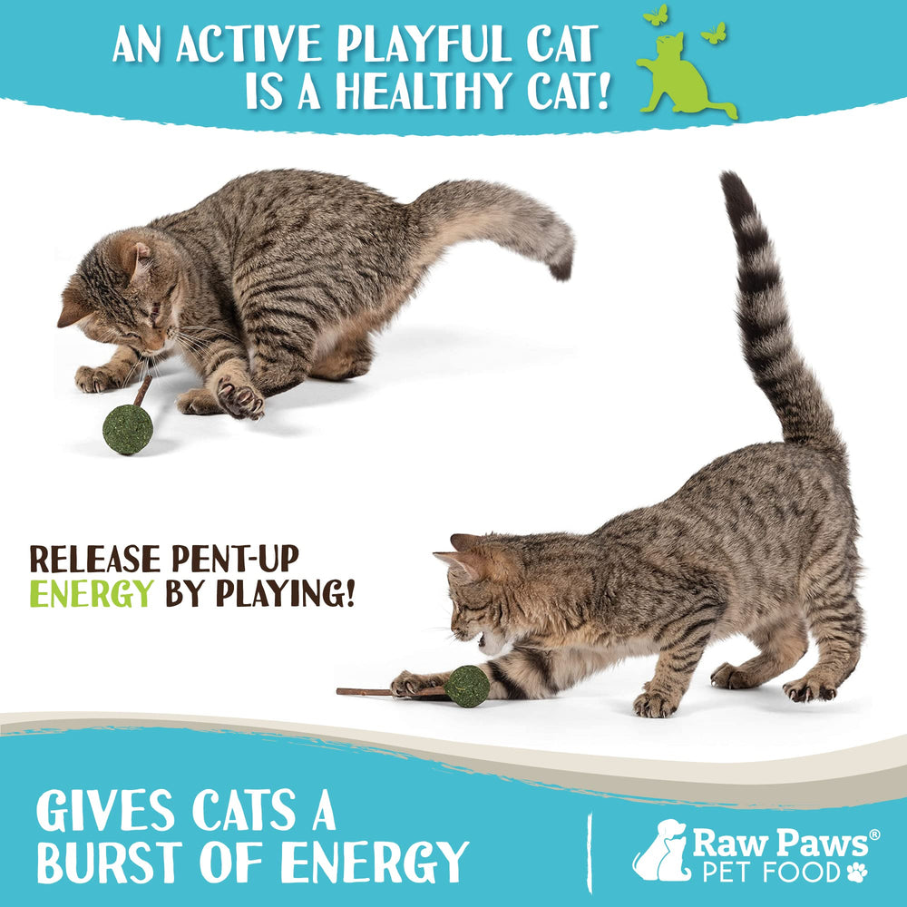 Raw Paws catnip lollipops closeup indicating digestion-friendly chew.