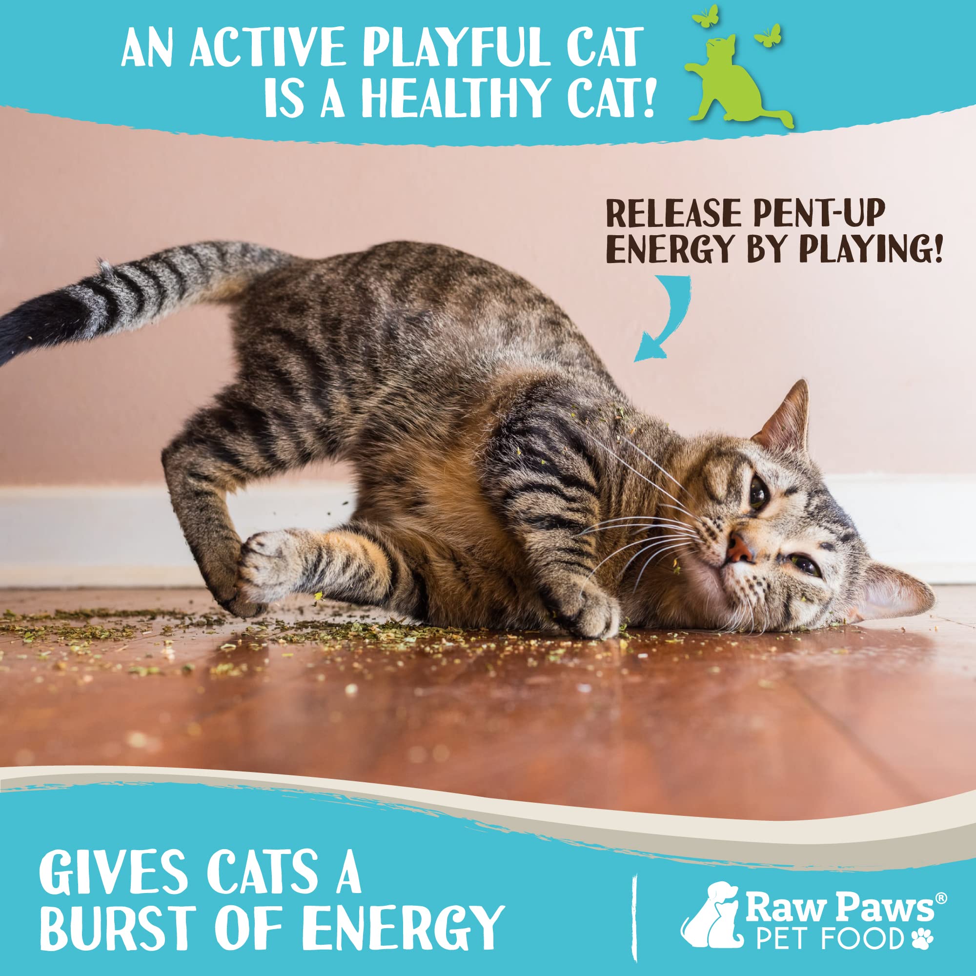 Raw Paws catnip toy refill ideas showcase extended play options