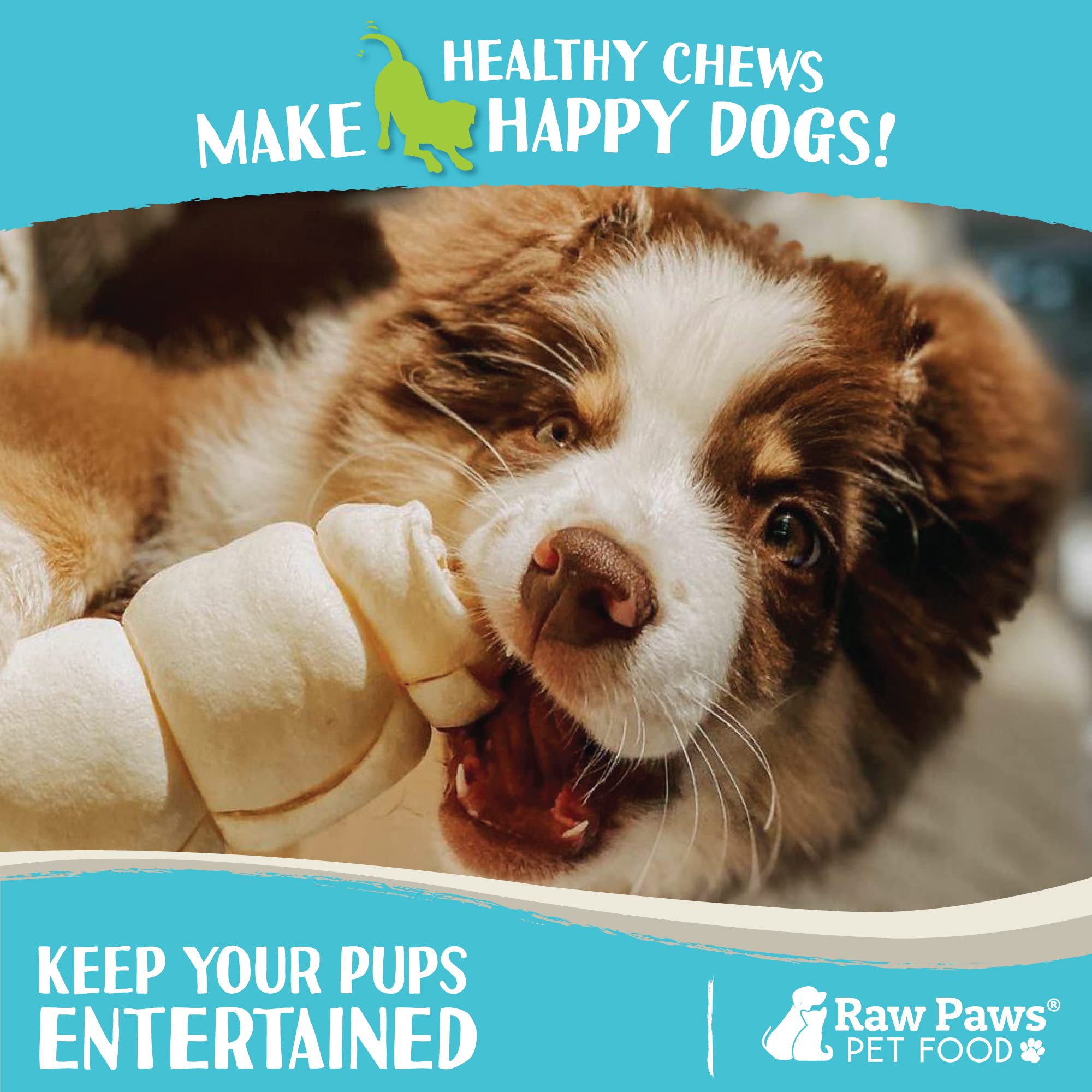 Raw Paws dental-friendly chews in action showing gnawing aid