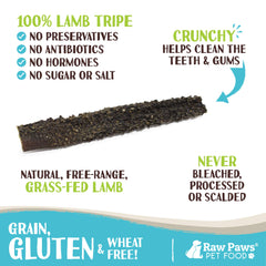 Raw Paws Green Lamb Tripe Sticks close-up texture shows crunchy surface for satisfying chews