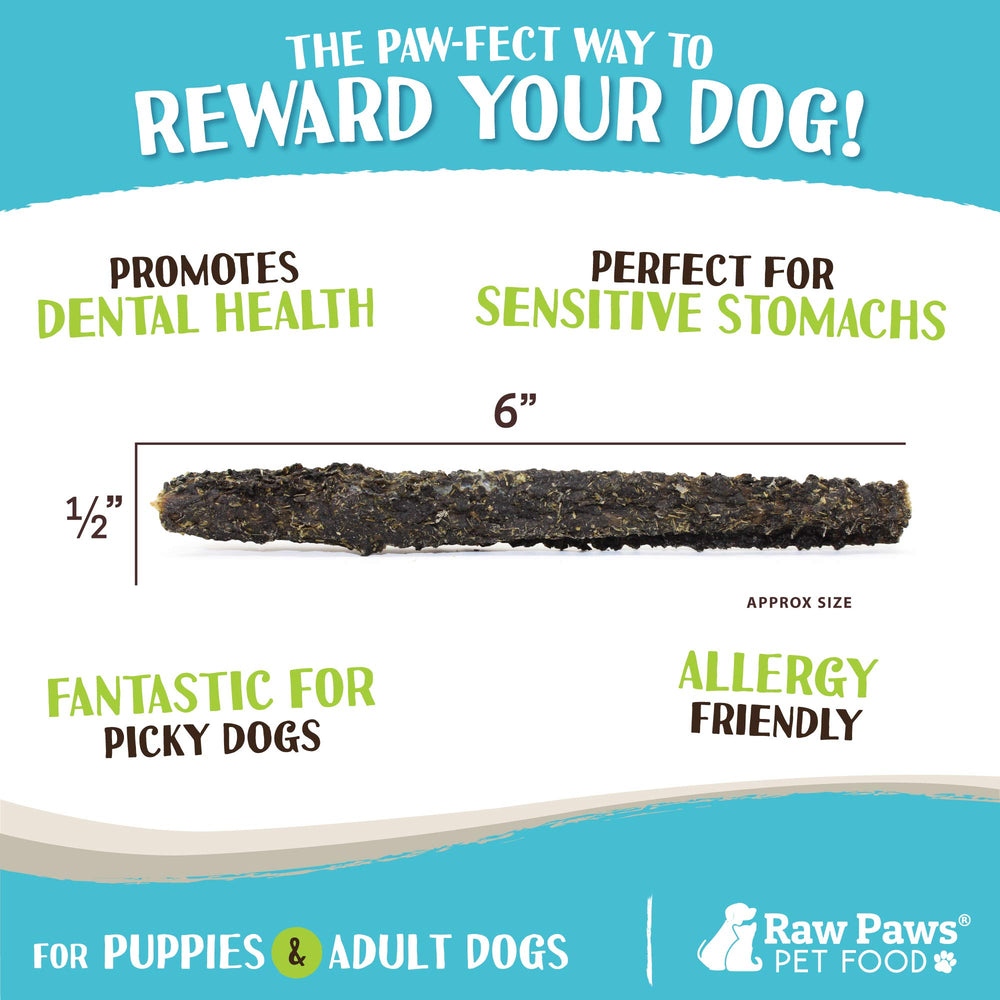 Raw Paws Green Lamb Tripe Sticks dog chewing action supports dental health and calm