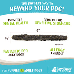 Raw Paws Green Lamb Tripe Sticks dog chewing action supports dental health and calm