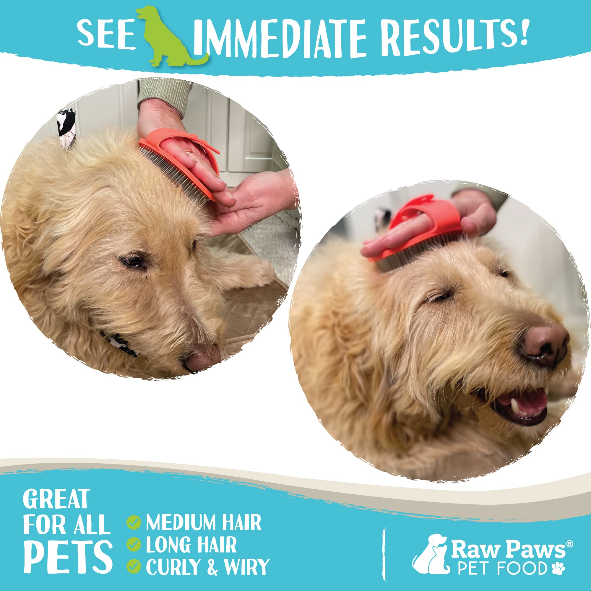 Raw Paws Grooming Brush cat grooming session highlights soothing massage and calm brushing.