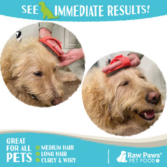 Raw Paws Grooming Brush cat grooming session highlights soothing massage and calm brushing.