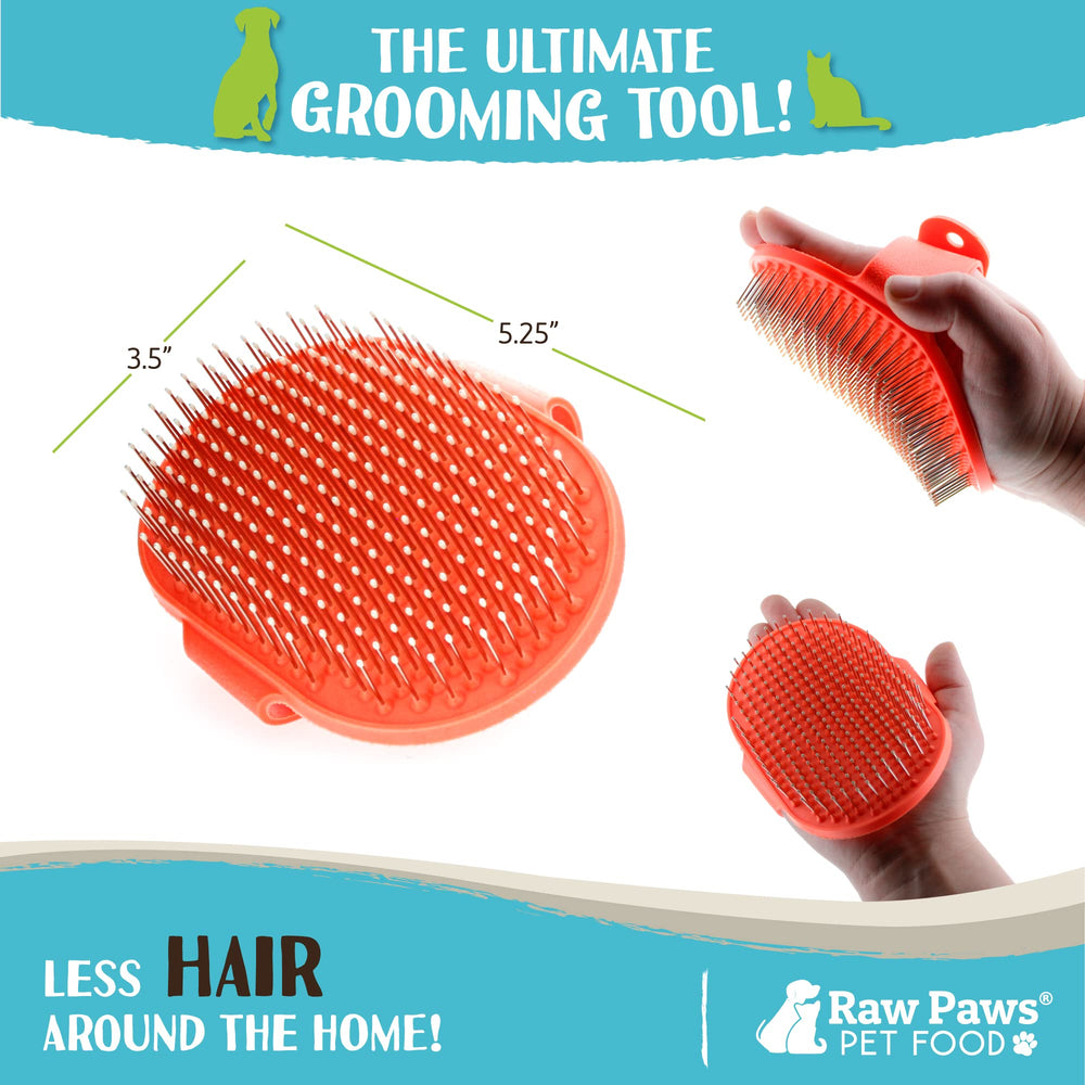 Raw Paws Grooming Brush dog short-hair use demonstrates debris removal and coat smoothing.