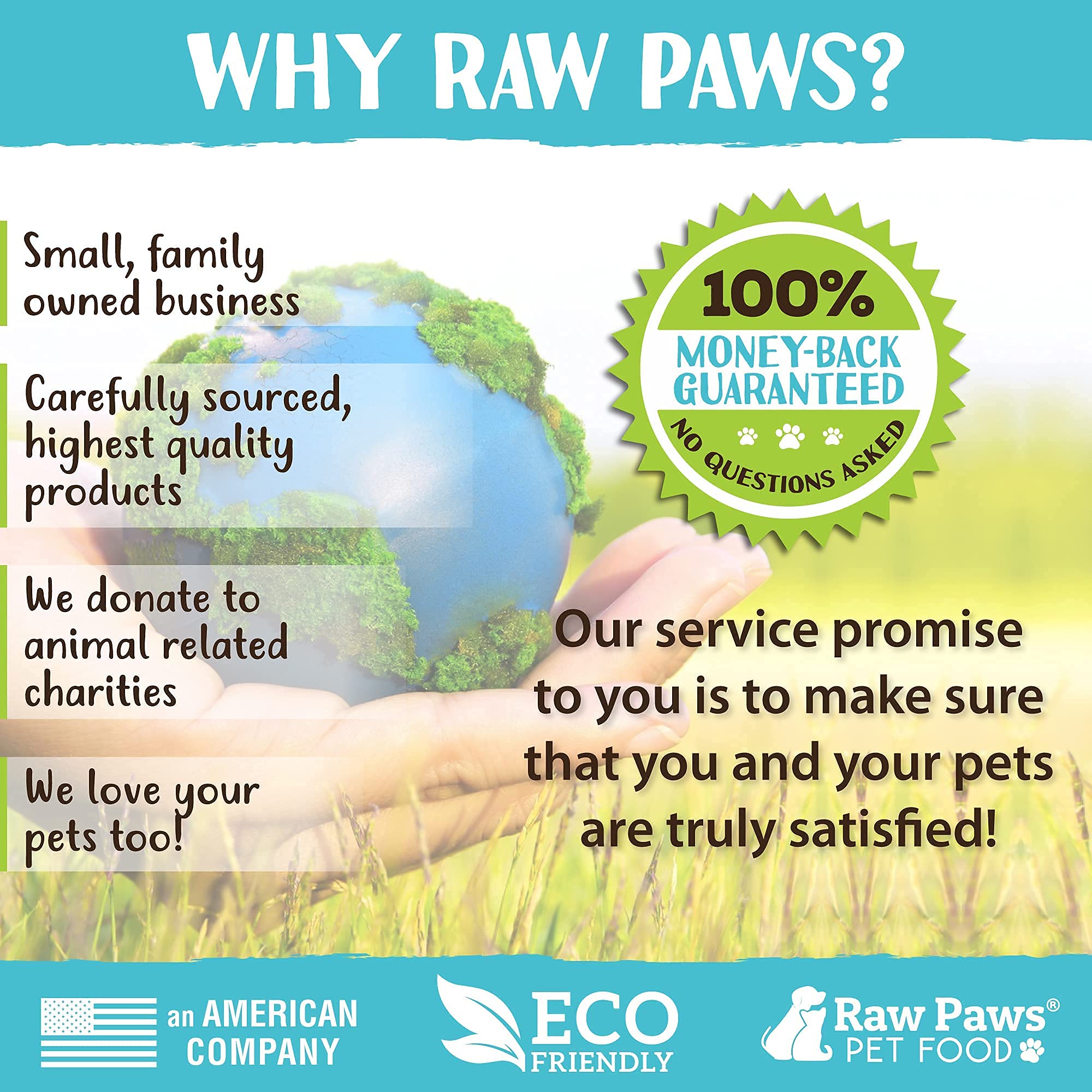 Raw Paws Grooming Brush easy-clean design supports quick cleanup after grooming.