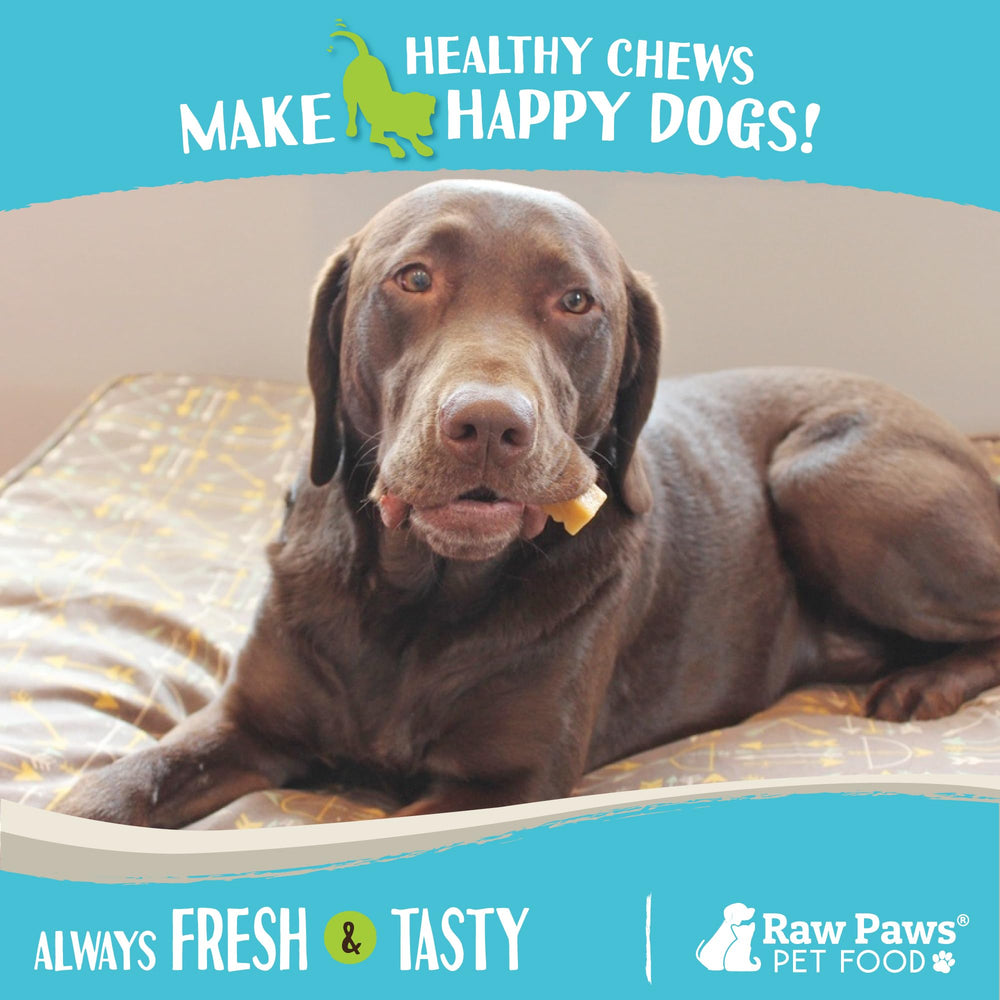 Raw Paws Himalayan Yak Chews long-lasting calming treat for anxious or bored dogs
