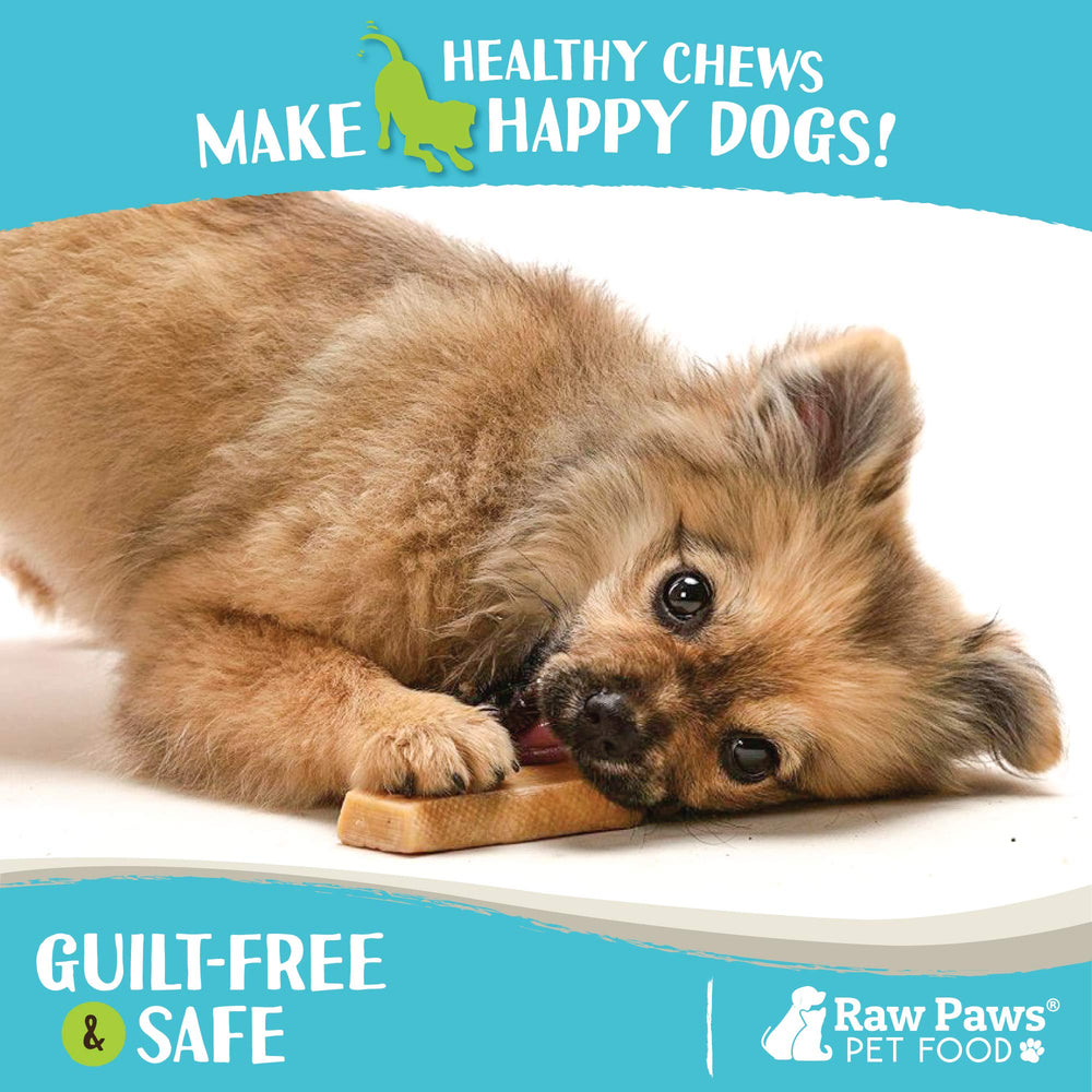Raw Paws Himalayan Yak Chews small for puppies offers a safe chewy distraction.