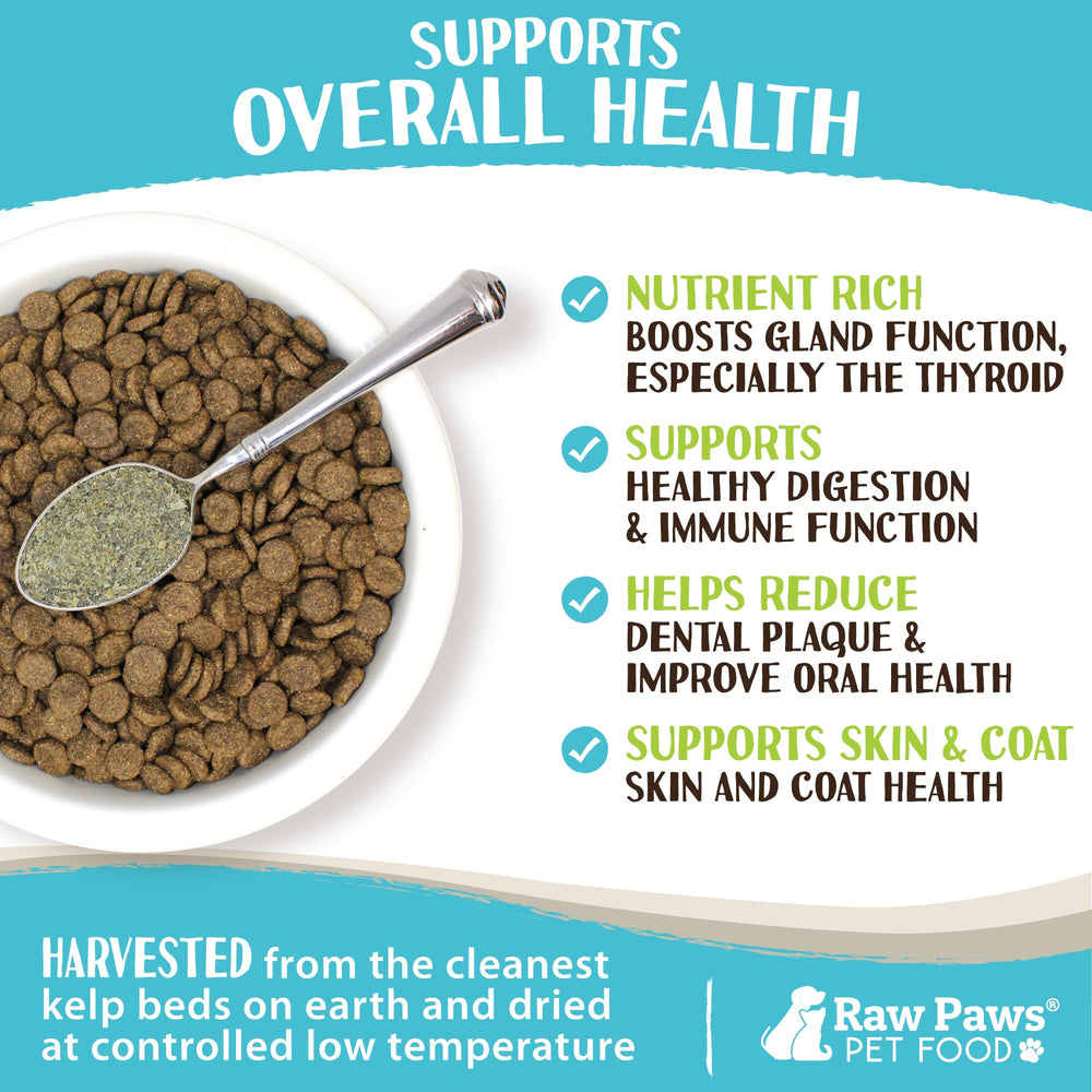 Raw Paws kelp powder closeup texture reveals natural seaweed fiber content for digestion.
