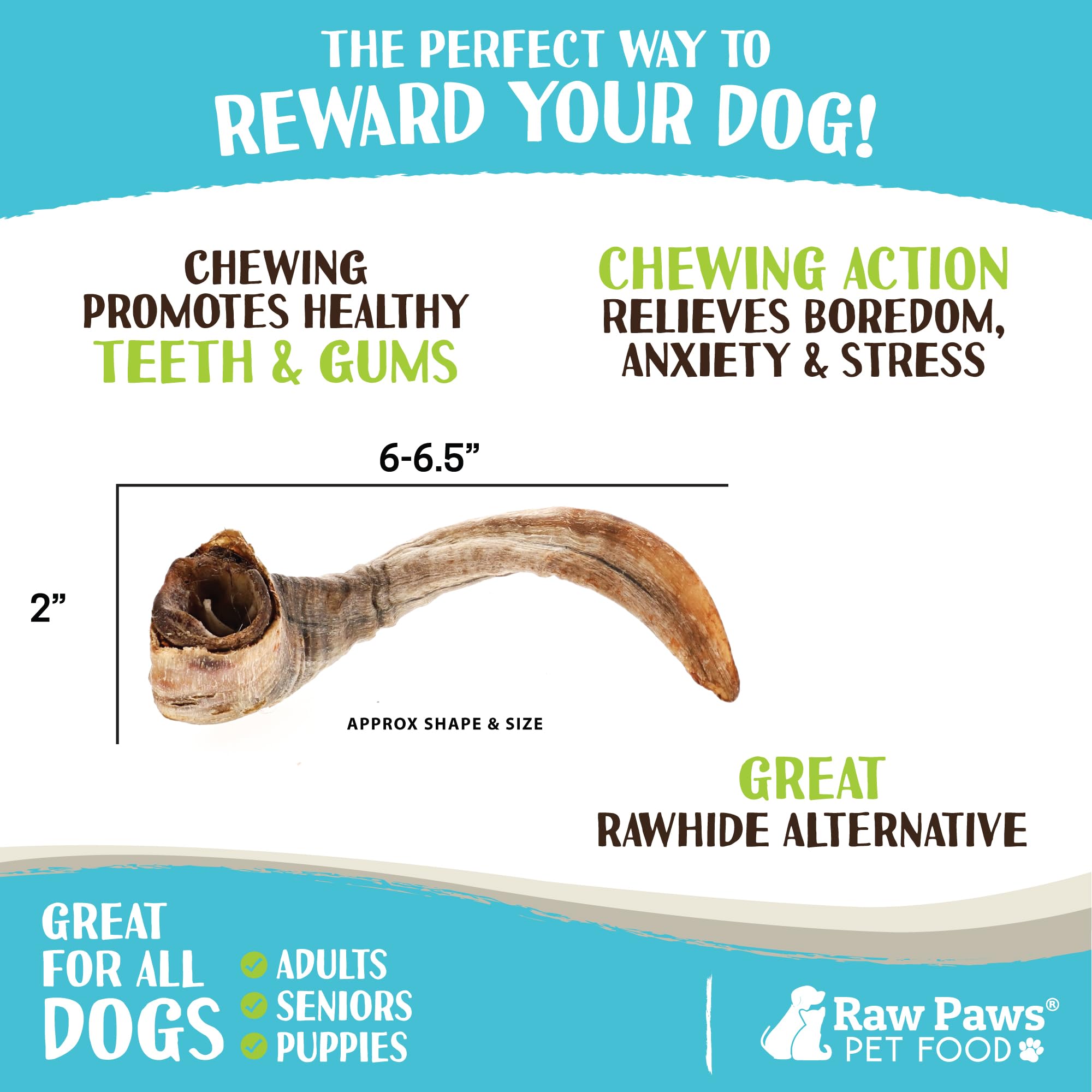 Raw Paws Lamb Horns dog chewing action illustrates boredom relief and engagement.