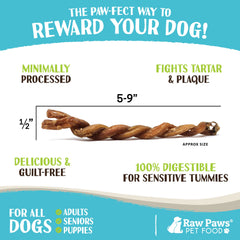 Raw Paws Lamb Pizzle Twists dog chewing closeup shows satisfying chew time.