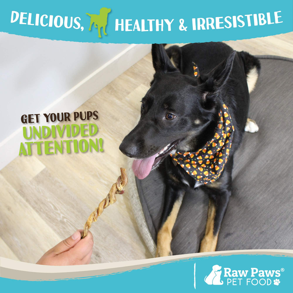 Raw Paws Lamb Pizzle Twists grain-free ingredients emphasize digestible, antibiotic-free dog treat.