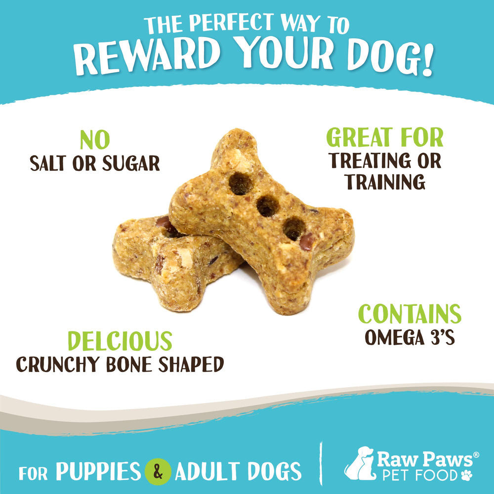 Raw Paws Mini Bones crunchy biscuits closeup—grain-free, wheat-free dog treats.
