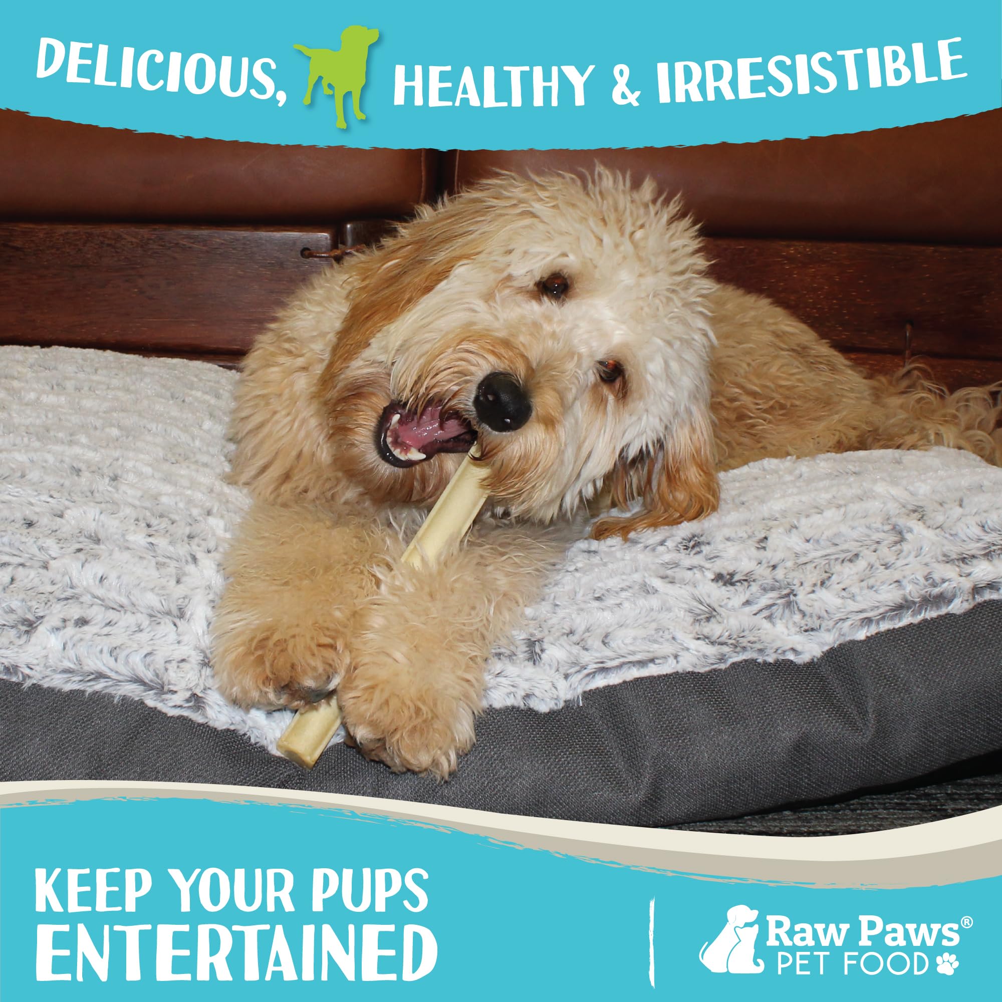 Raw Paws natural single-ingredient rawhide emphasizes purity and safety.