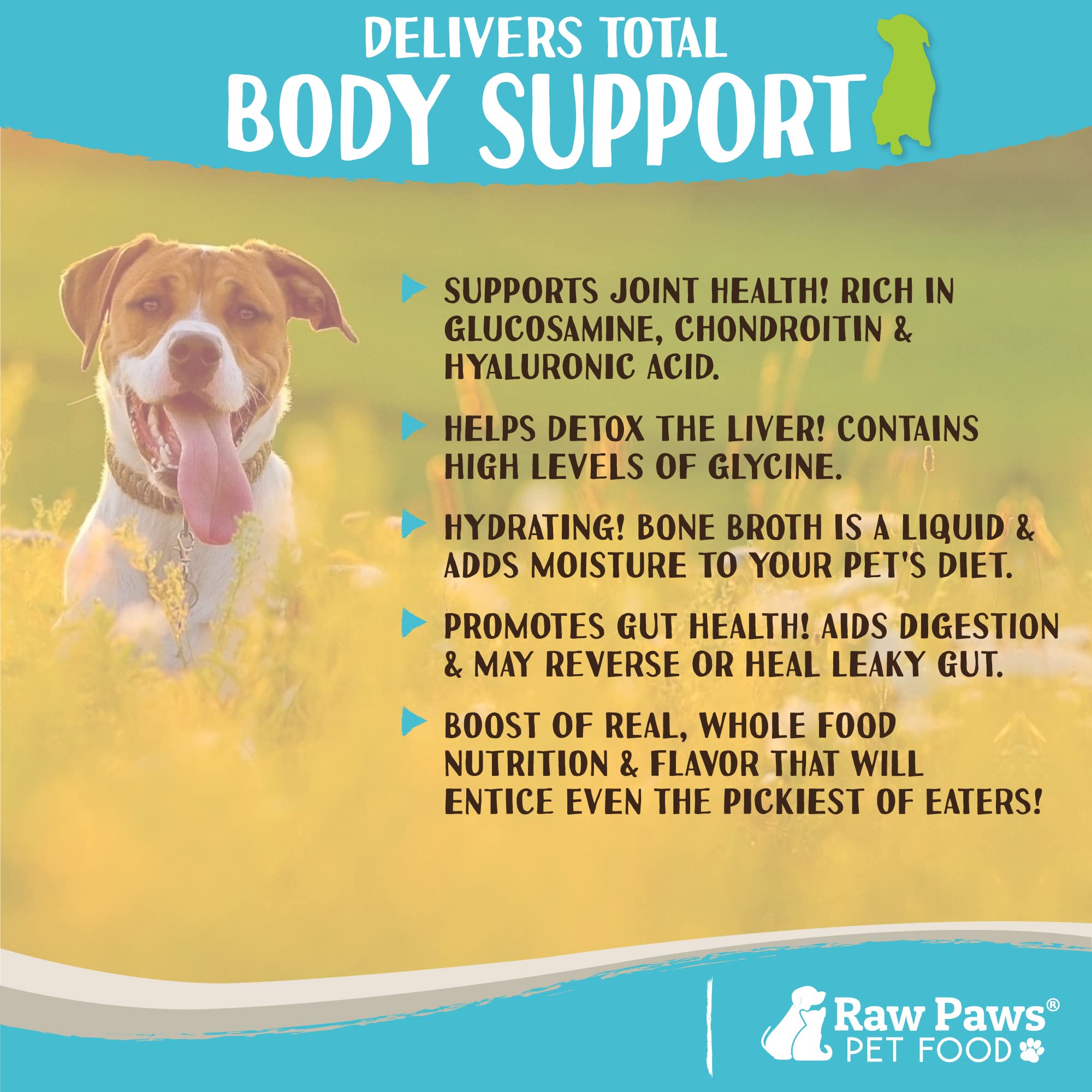 Raw Paws pet dining bowl scene demonstrates easy serving and meal enrichment.