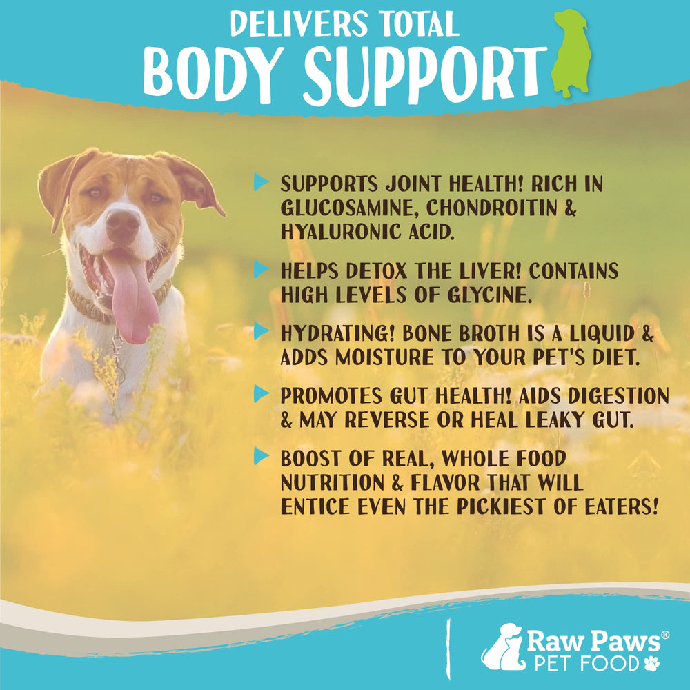 Raw Paws pet dining bowl scene demonstrates easy serving and meal enrichment.