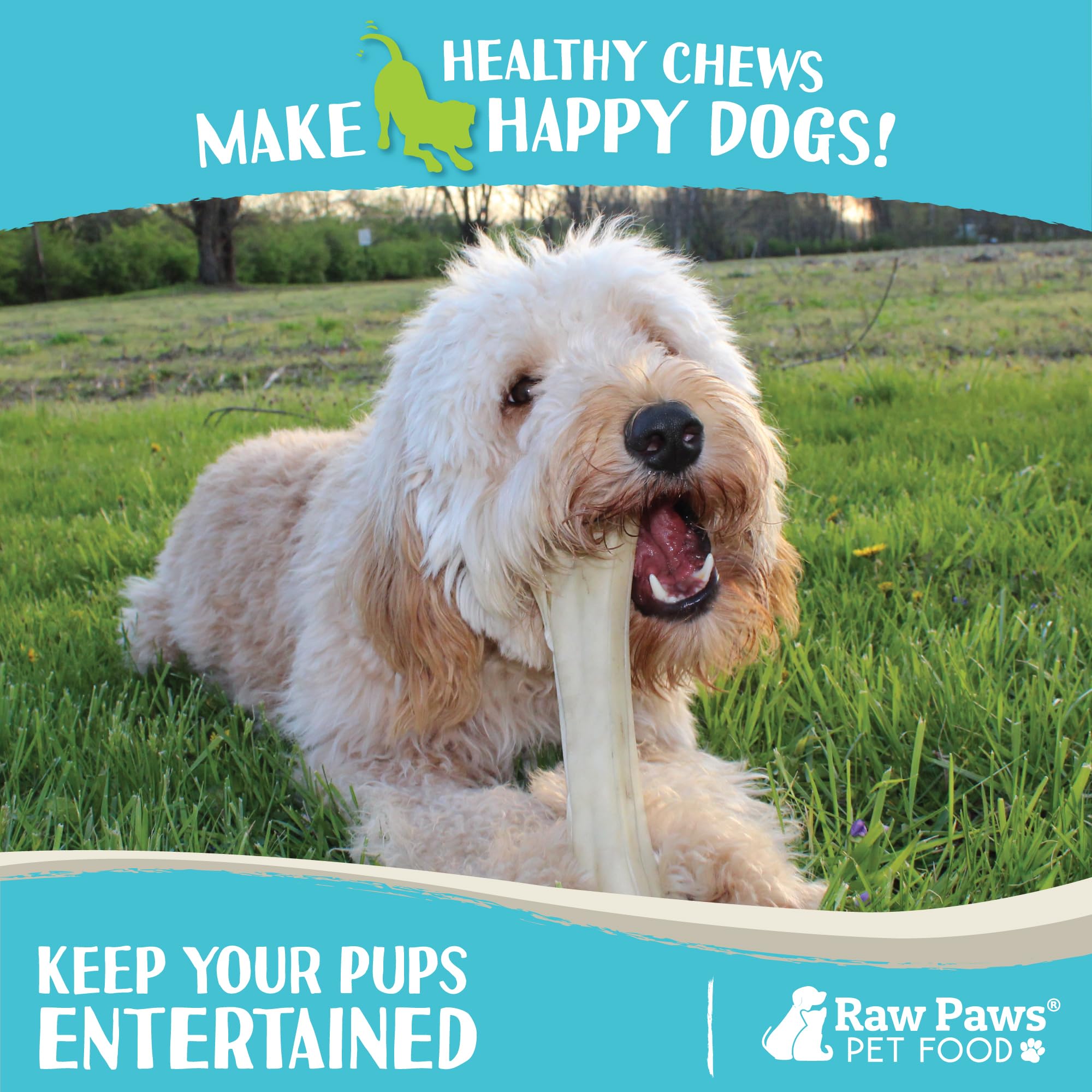 Raw Paws pressed rawhide texture detail emphasizing durability for aggressive chewers.