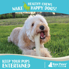Raw Paws pressed rawhide texture detail emphasizing durability for aggressive chewers.
