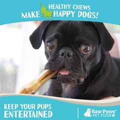 Raw Paws puppy teething chew detail highlighting safe, natural rawhide