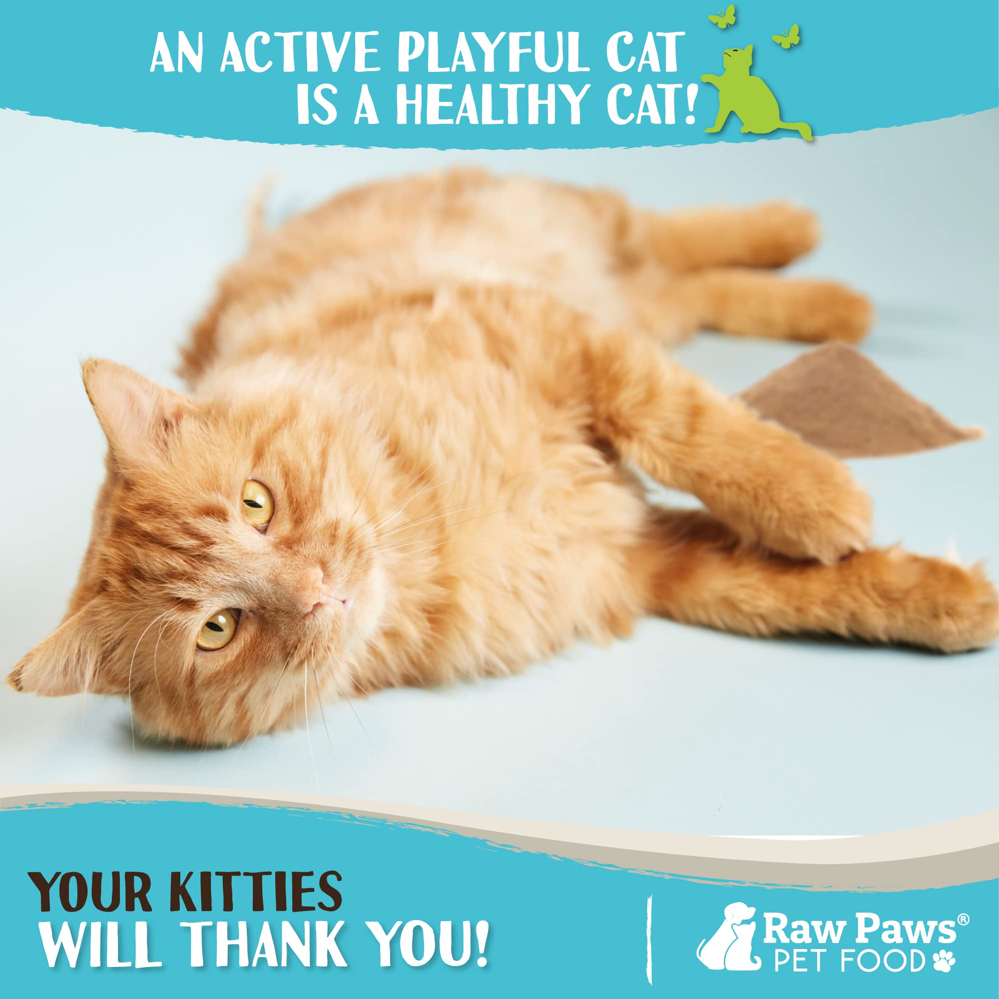 Raw Paws Silvervine Powder prompting active play in a cat