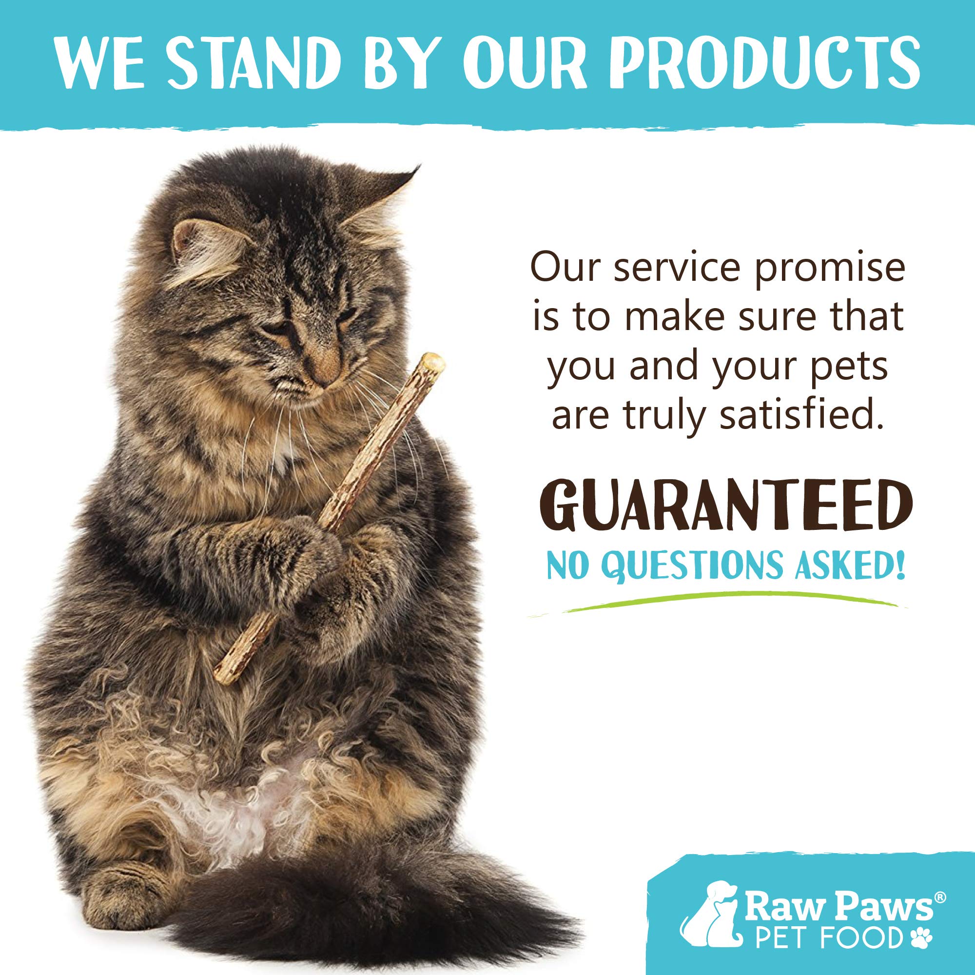 Raw Paws silvervine sticks healthy-activity scene showing cat movement and play.