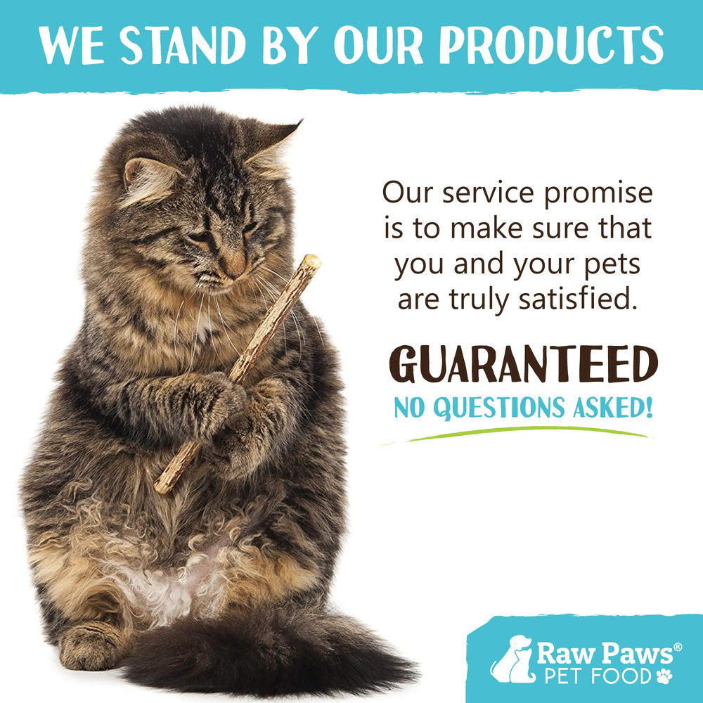 Raw Paws silvervine sticks healthy-activity scene showing cat movement and play.