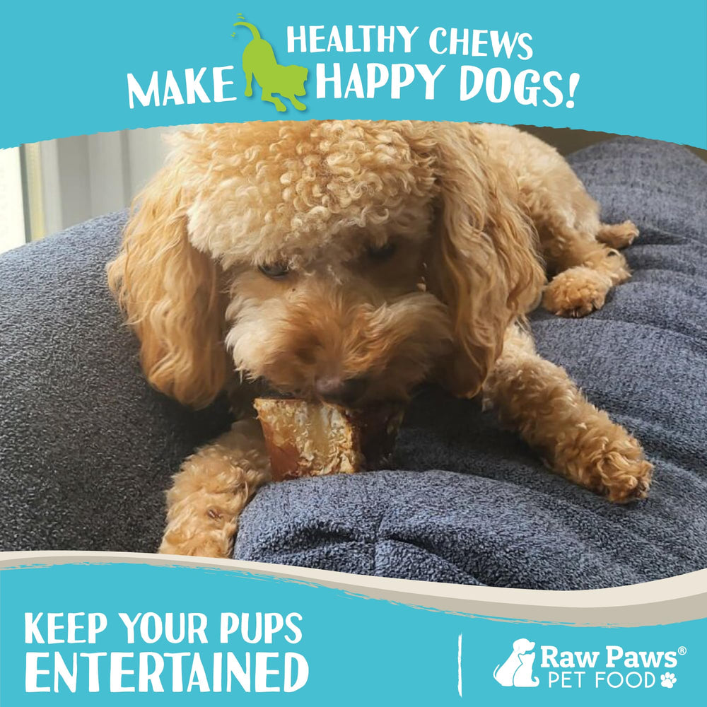 Raw Paws beef marrow bones aid stress relief through chew therapy.